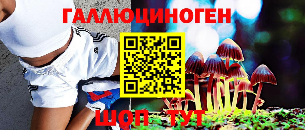 Галлюциногенные грибы Psilocybine cubensis Кондопога