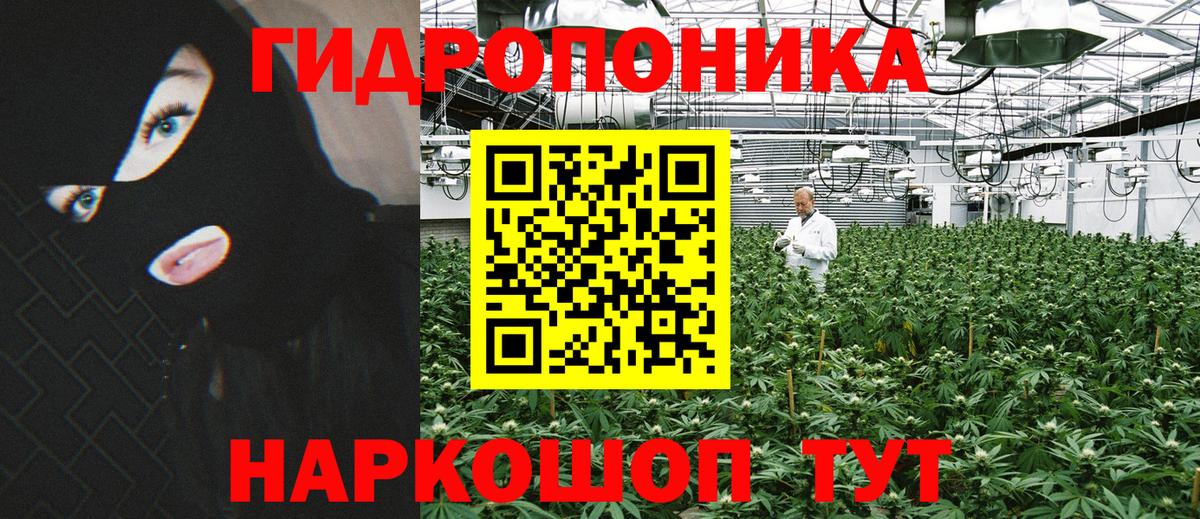 Марихуана сатива  Вход с VPN  МАРИХУАНА семена  Кондопога  Конопля тримм 